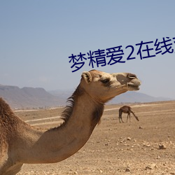 夢精愛2在線觀看