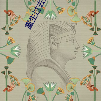 重生过去(去)当传奇