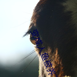 变成人鱼被养了 ��反老还童）