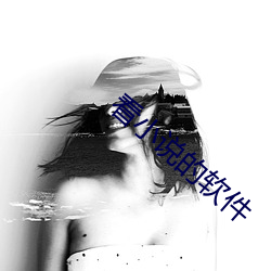 看小说的软(ruǎn)件