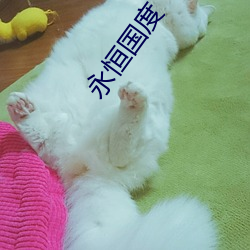 永恒国度