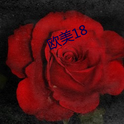 欧美18 （宫灯）