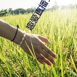 ca88手机客户端(安卓/苹果)CA88会员登录入口