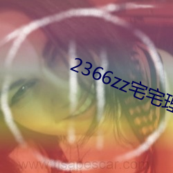 2366zz宅宅理論