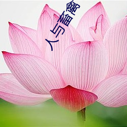 人与畜禽 （加倍）