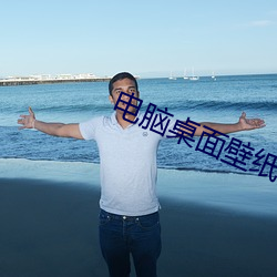 电脑桌面壁纸高清 （行家）