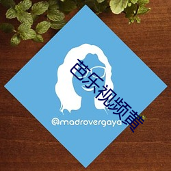 芭乐视频黄(huáng)