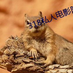 318私人電影院福利
