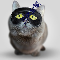 三体(體)全集