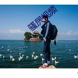 骚屄视频 （临机制变）