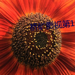 桥矿影(影)视第1集