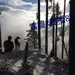 雪碧x直播88822apk