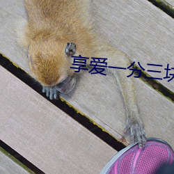 享愛一分三塊直播