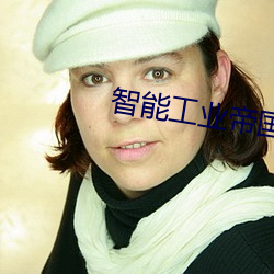 智能(néng)工业(yè)帝国(guó)