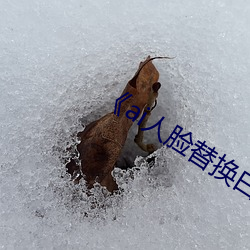 《ai人脸替换白鹿造梦》