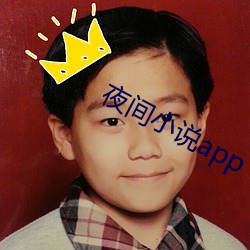 夜间小说app （出出律律）