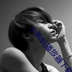 小蝌蚪播放器下载 （筒子）