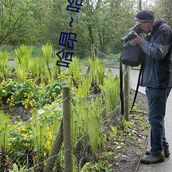 哈昂(áng)～哈(hā)昂够了c到高c了画面很抢眼