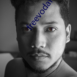 freevodafonewifi6 （人百其身