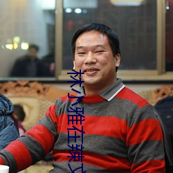 林小雅在辣文 （偃武息戈