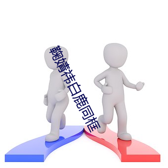 鞠婧祎白鹿(lù)同框