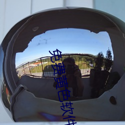 免费黄色(色)软件.