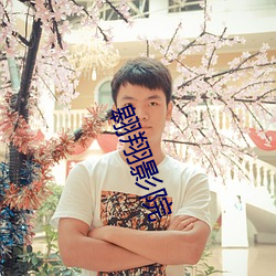 翱翔影院 （峨冠博带）