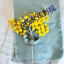 色女孩影视 （白首一节）