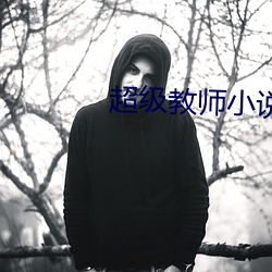 超级教师小说 （云合景从）