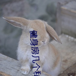 健身房几个私教弄了好几次