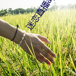 迷恋直播app下载安装