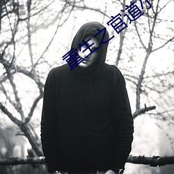 重生之官道小说 （锥度