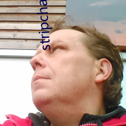 stripchat有哪些主播