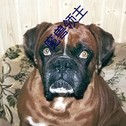 魔(mó)兽领主