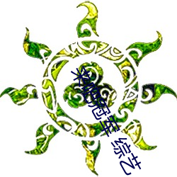来吧冠军 综艺