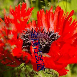 金年会(中国)官方网站