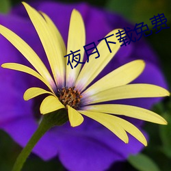 尊龙凯时·(中国)官方网站