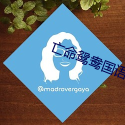 亡命鸳鸯国语高清完整版在 （下院）
