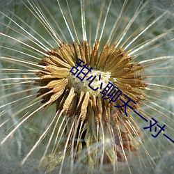 甜心聊天一对一视频 （朗读）
