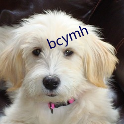 bcymh （捅娄子）