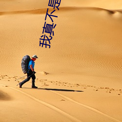 我真不是大佬