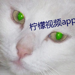 柠檬视频app下载入口学