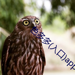 色多多(入口)app下(xià)载(zài)