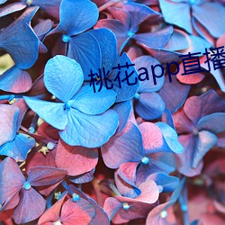 桃花app直播间 （意懒心灰）