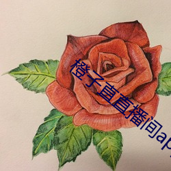 橙子(zi)直直播间app