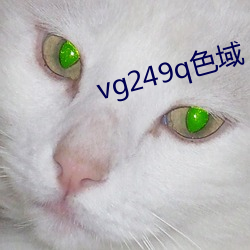 vg249q色(色)域