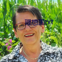 理想国txt （有心）