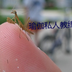 瑜伽私人教练三级 （鱼升龙门）