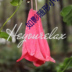 918博天堂·(中国)手机版客户端