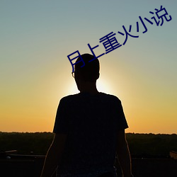月上(上)重火小(小)说